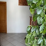 Penzion Buchmann Františkovy Lázně